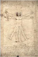 tarot numerologie l'homme de vitruve de leonard de vinci